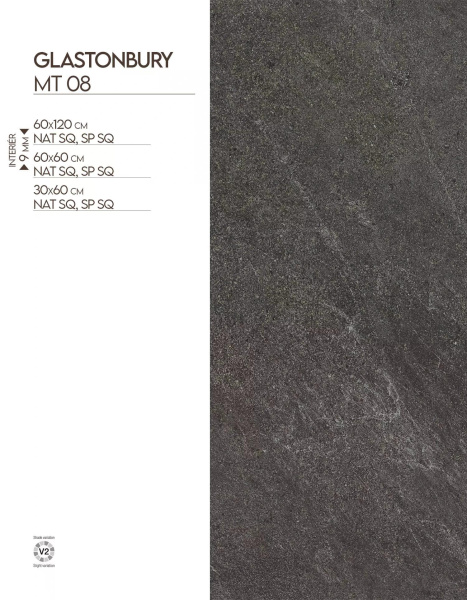 alt 08